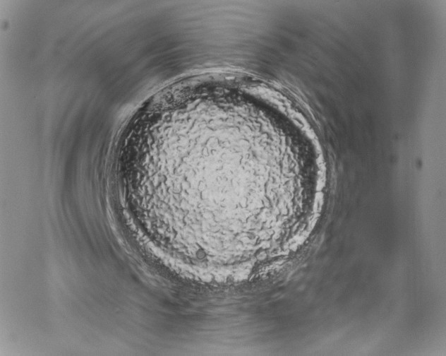 X0000069360145200606021501