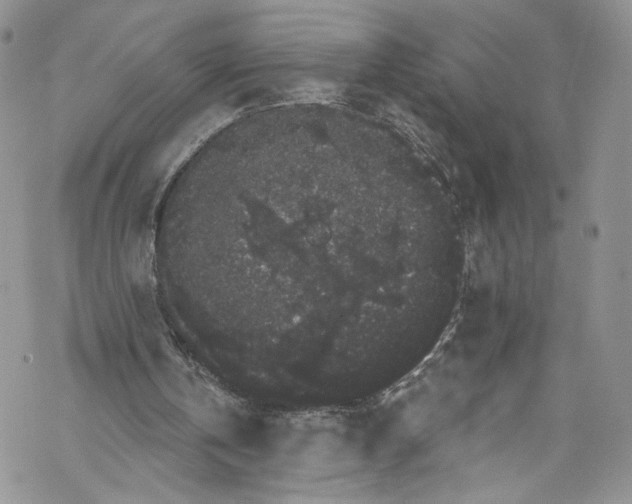 X0000069360146200606021501