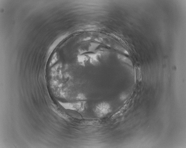 X0000069360147200606021501