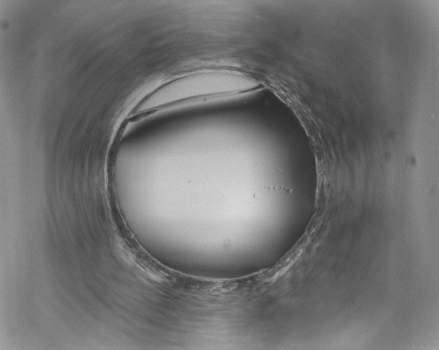 X0000069360148200606021501