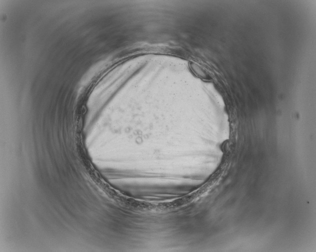 X0000069360149200606021501