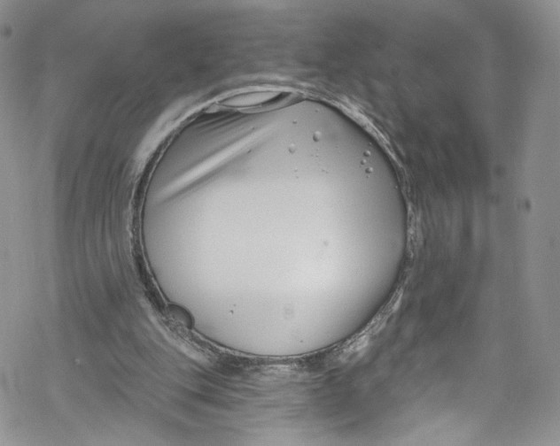 X0000069360151200606021501