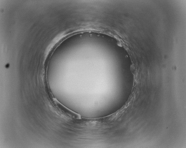 X0000069360152200606021501