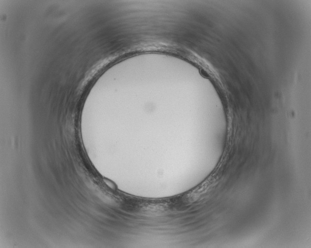 X0000069360155200606021501