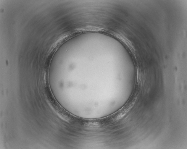 X0000069360157200606021502