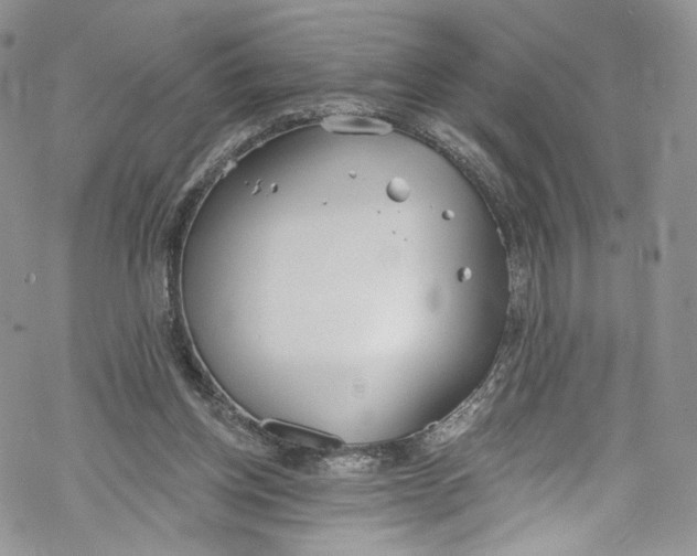 X0000069360158200606021502