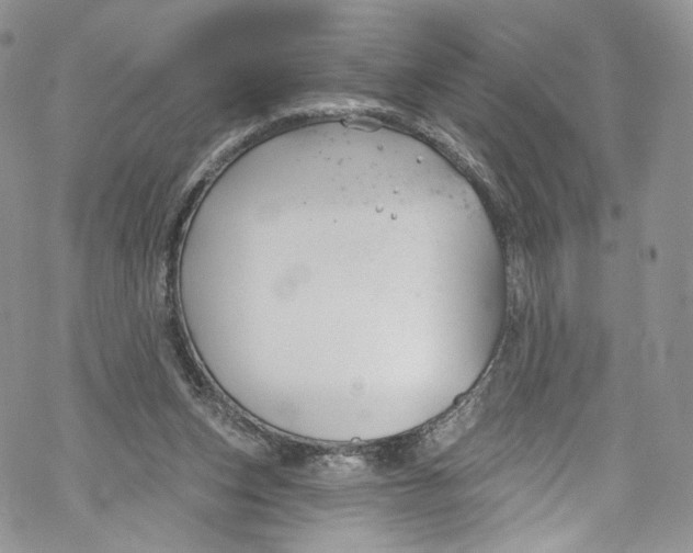 X0000069360159200606021502