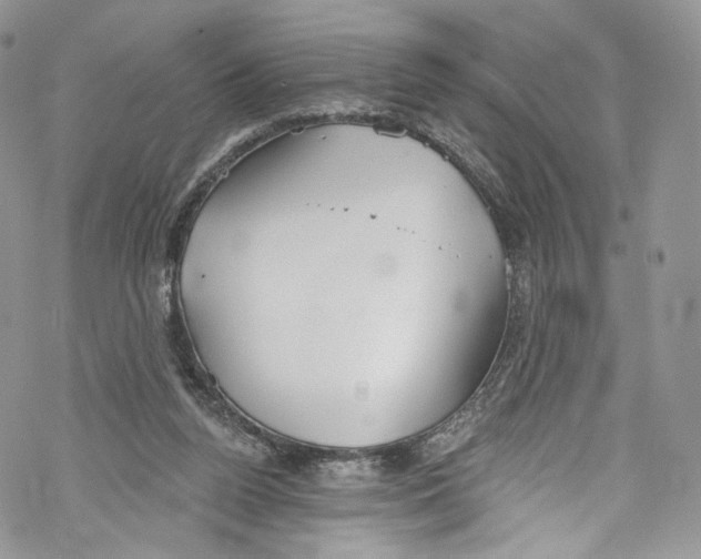 X0000069360160200606021502