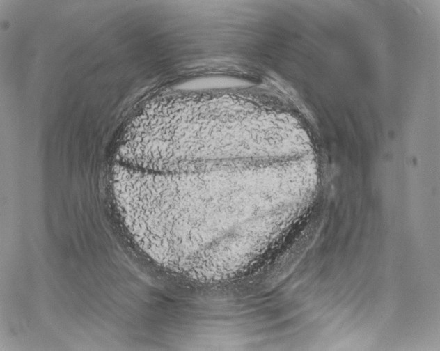 X0000069360161200606021502