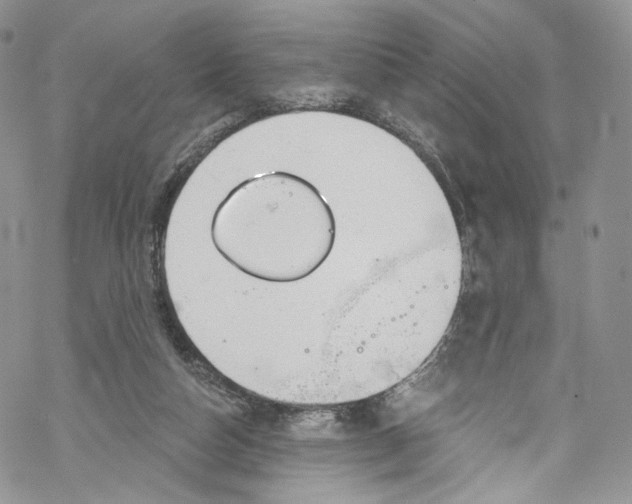 X0000069360162200606021502