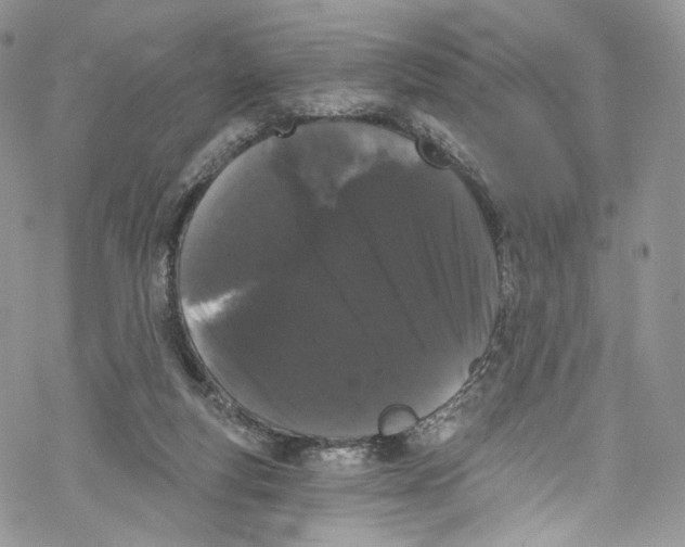 X0000069360163200606021502