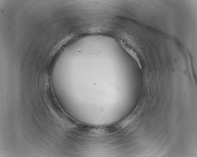 X0000069360164200606021502