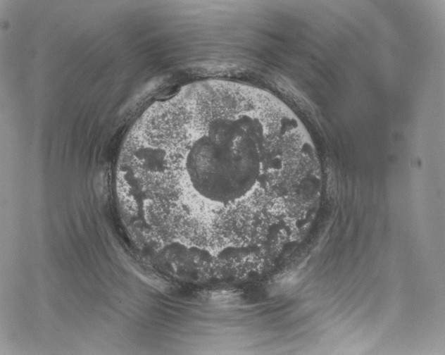 X0000069360165200606021502