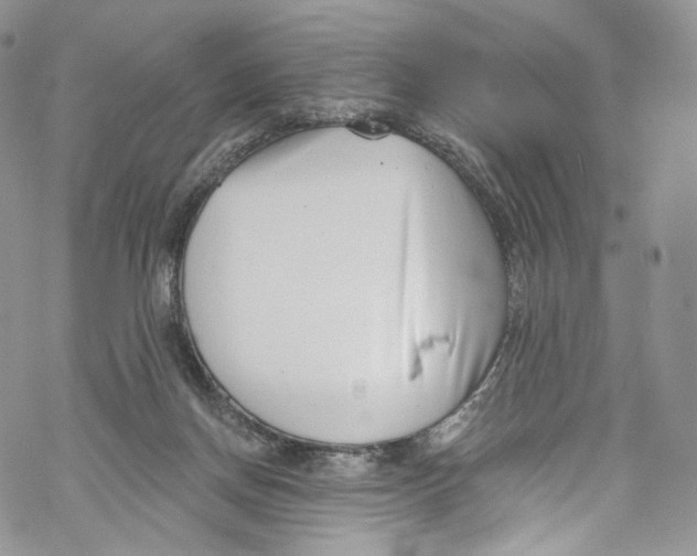 X0000069360166200606021502