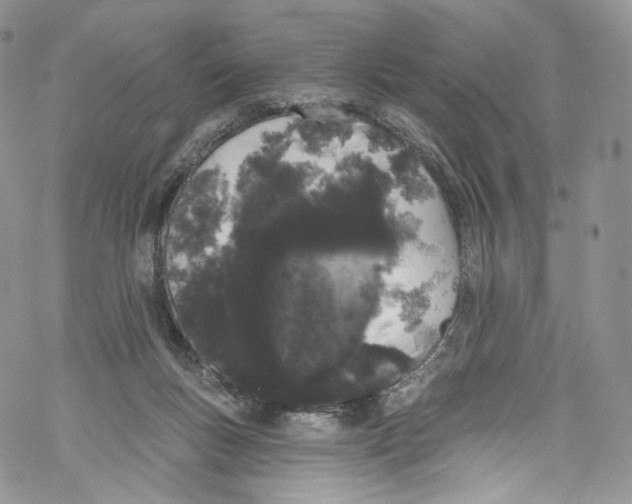 X0000069360167200606021502