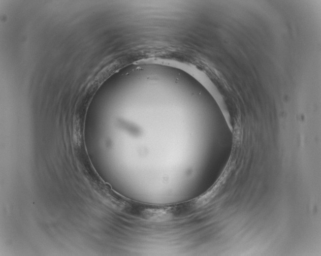 X0000069360170200606021502