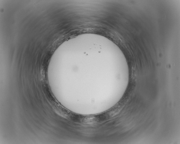 X0000069360173200606021502