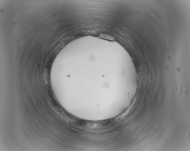 X0000069360174200606021502