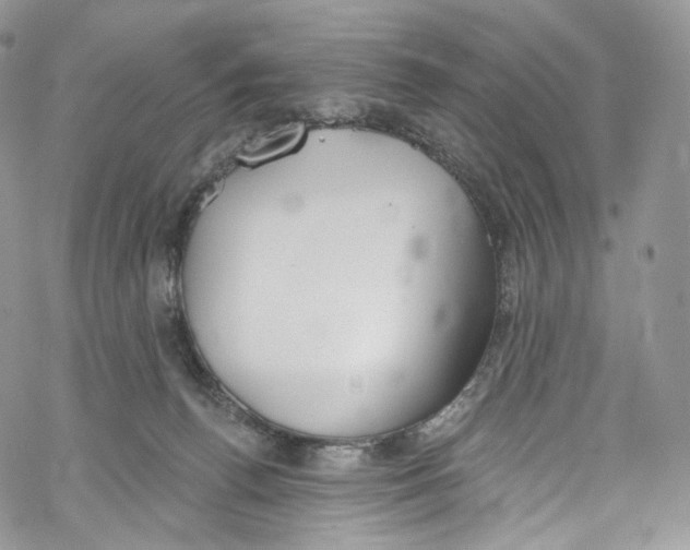 X0000069360176200606021502