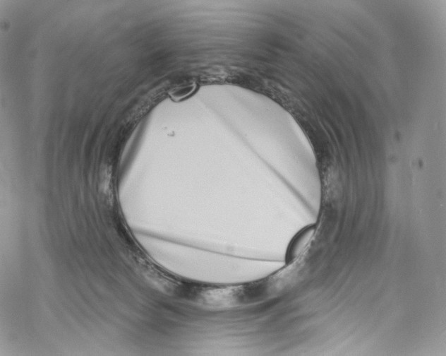 X0000069360178200606021502