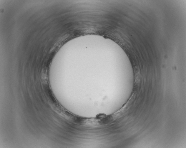 X0000069360179200606021502