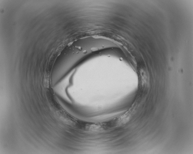 X0000069360180200606021502