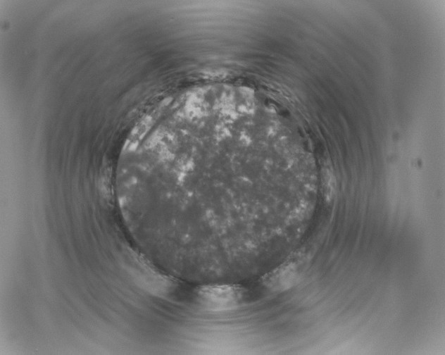 X0000069360181200606021502