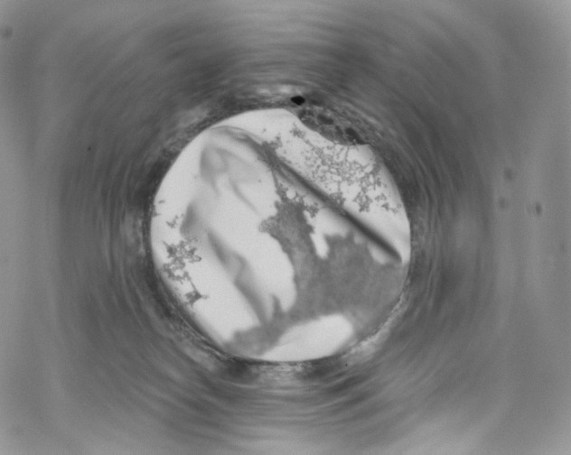 X0000069360182200606021502