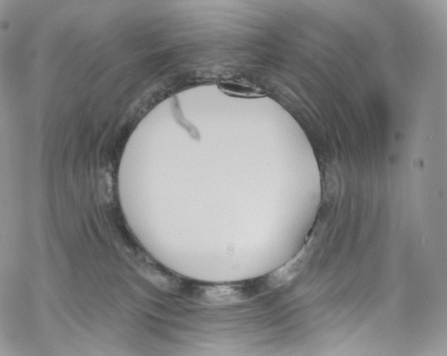 X0000069360183200606021502