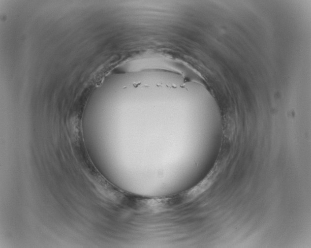 X0000069360184200606021502