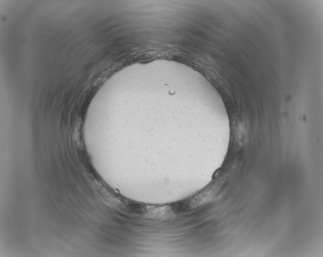 X0000069360185200606021502