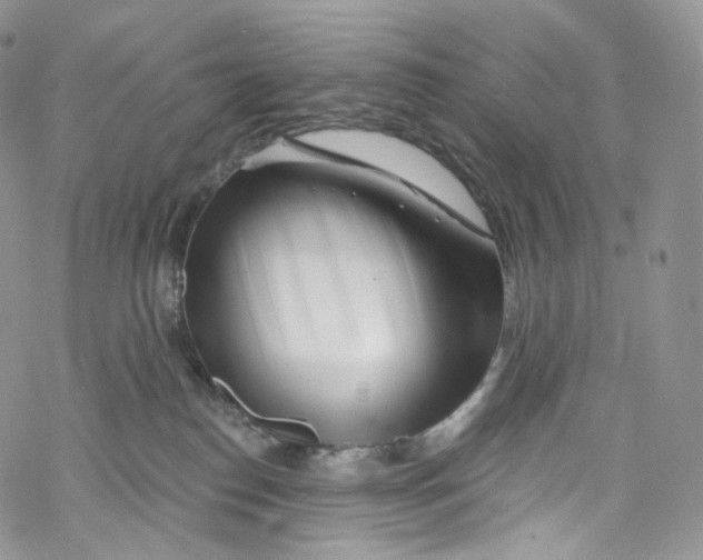 X0000069360186200606021502