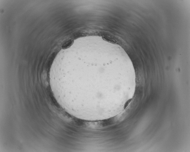 X0000069360187200606021502