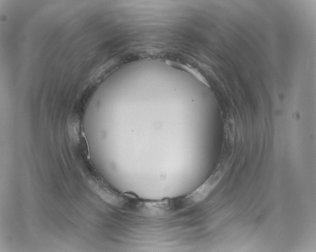 X0000069360188200606021502