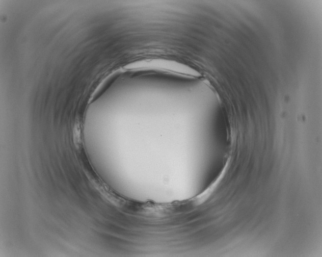 X0000069360190200606021502