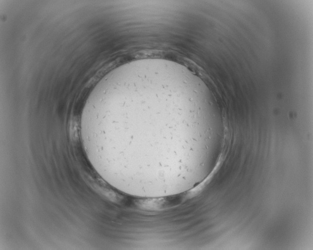 X0000069360191200606021502