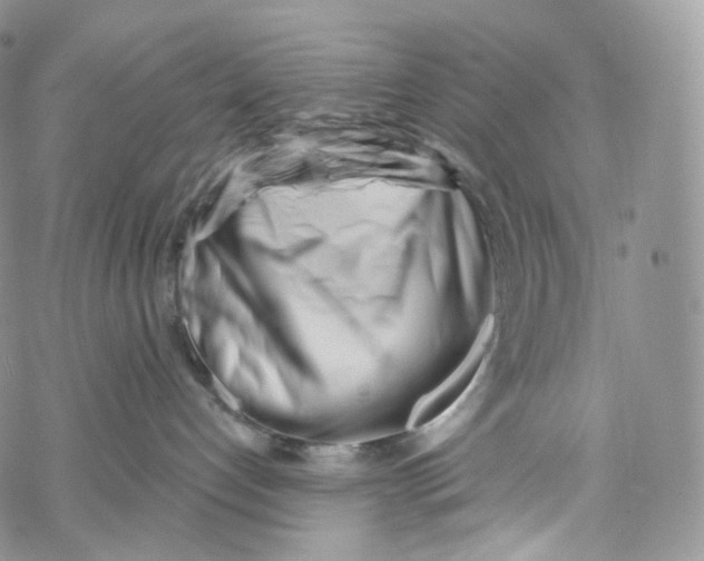 X0000069360192200606021502