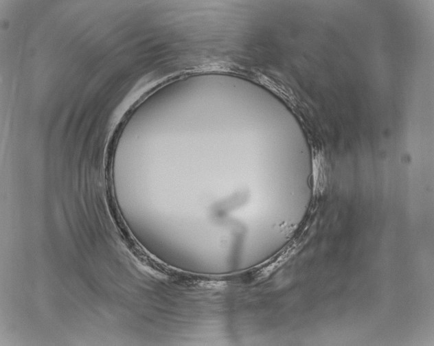 X0000069360195200606021501