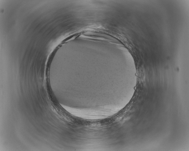 X0000069360196200606021501