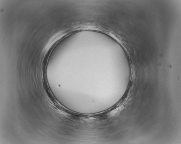 X0000069360199200606021501