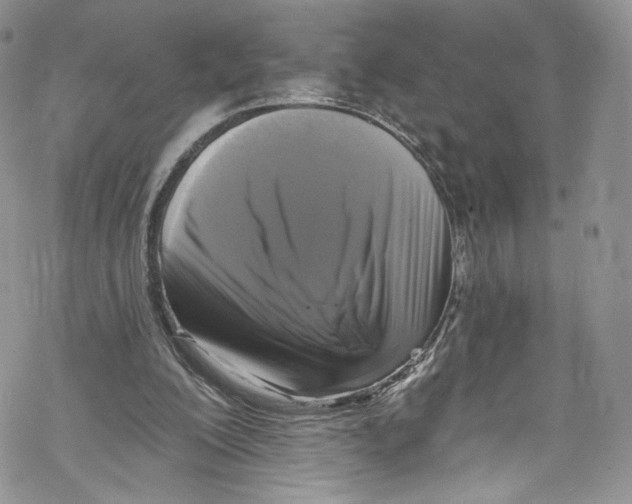 X0000069360200200606021501