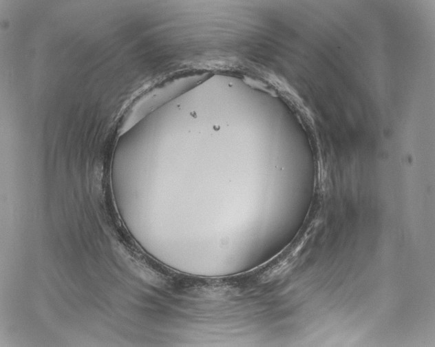 X0000069360201200606021501