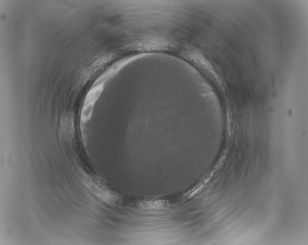 X0000069360202200606021501