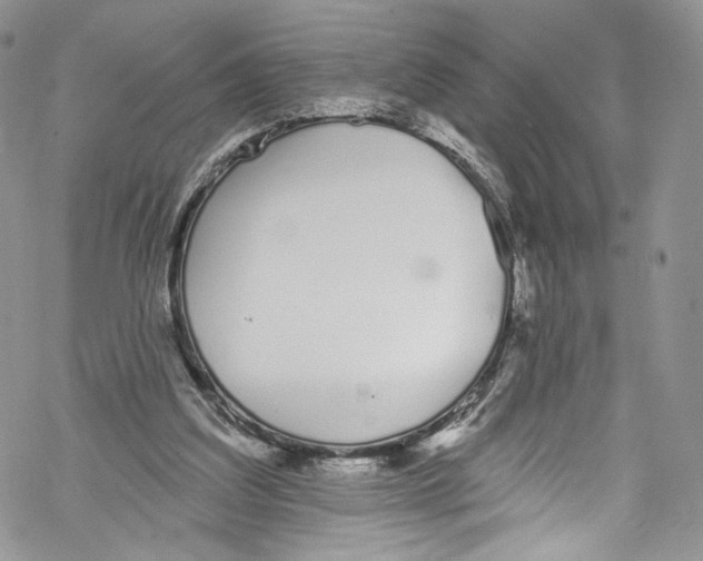 X0000069360203200606021501