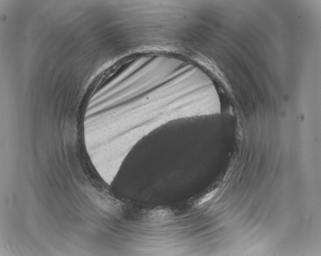 X0000069360204200606021501