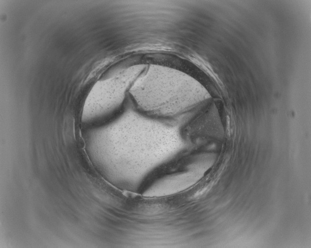 X0000069360205200606021501