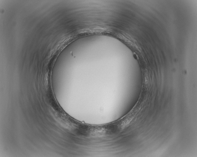 X0000069360206200606021501