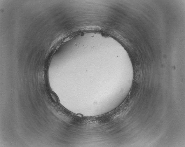 X0000069360207200606021501