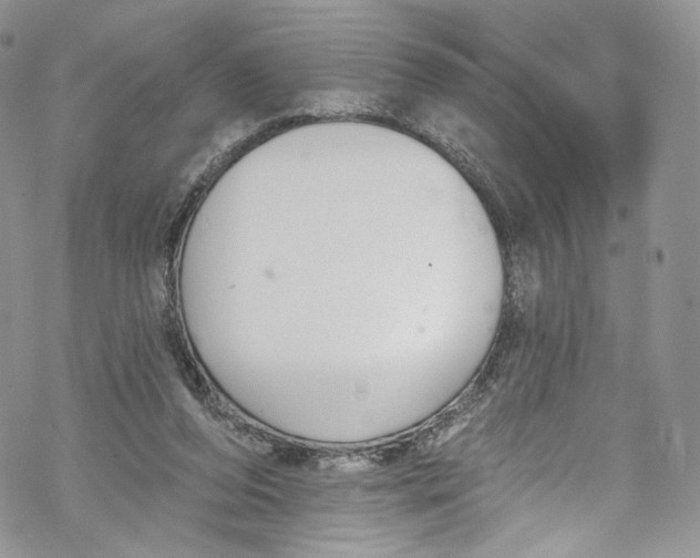 X0000069360208200606021501