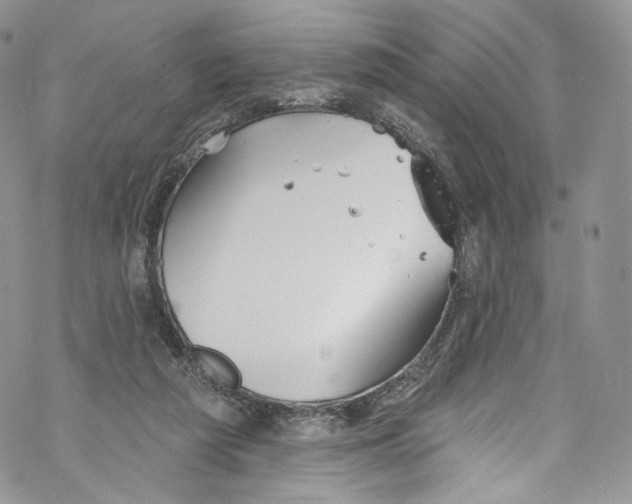 X0000069360209200606021501